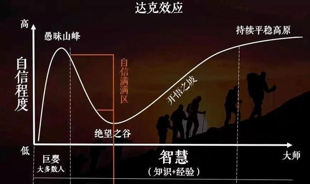 合成生物学2024：割裂中生长__合成生物学2024：割裂中生长